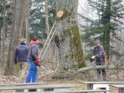 Bild 22